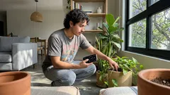 8 plantas de interior que aguantan poca luz y cómo cuidarlas en invierno